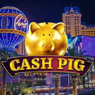 Cash Pig